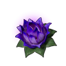 耐重之莲(小)