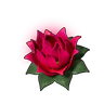 力量之莲(小)