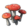 蘑菇